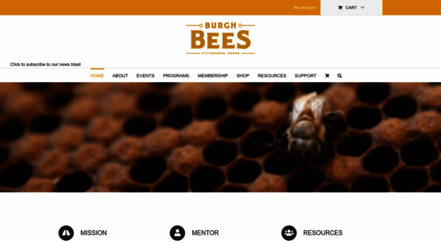 burghbees.org
