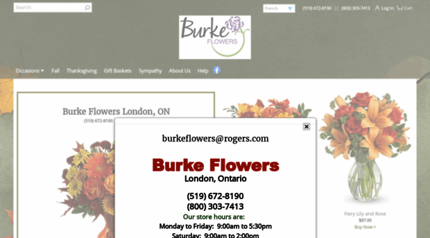 burkeflowers.com