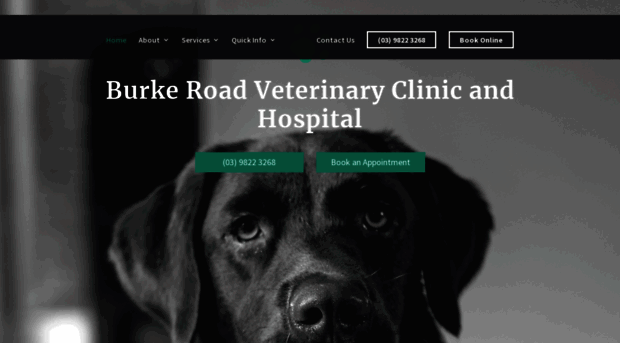 burkeroadvet.com