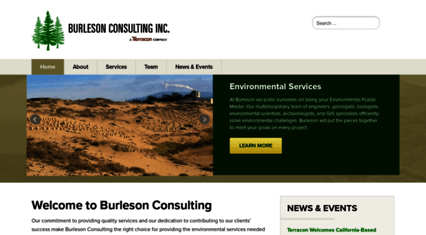 burlesonconsulting.com