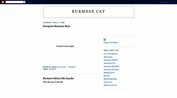 burmese-cat.blogspot.com