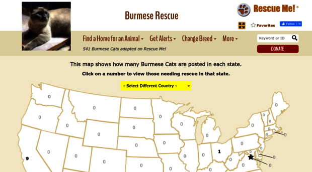 burmese.rescueme.org