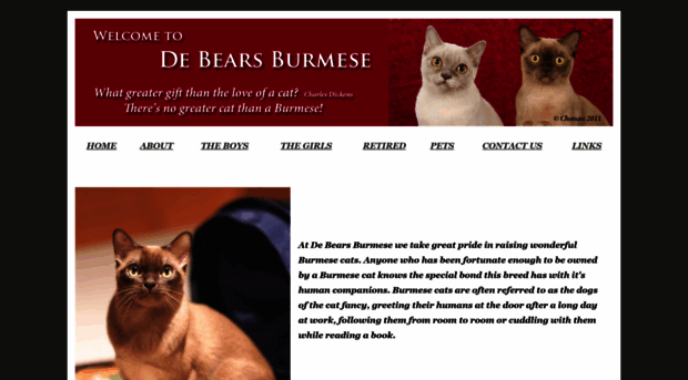 burmesecat.net