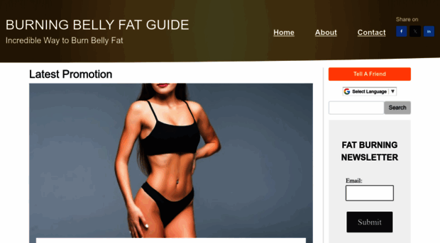 burnbellyfatguide.com