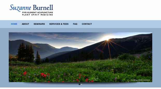 burnellacupuncture.com