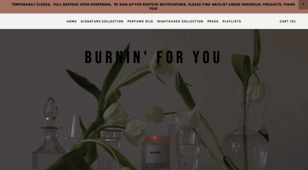 burninforyoucandleco.com