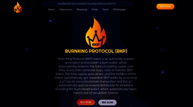 burnkingprotocol.com