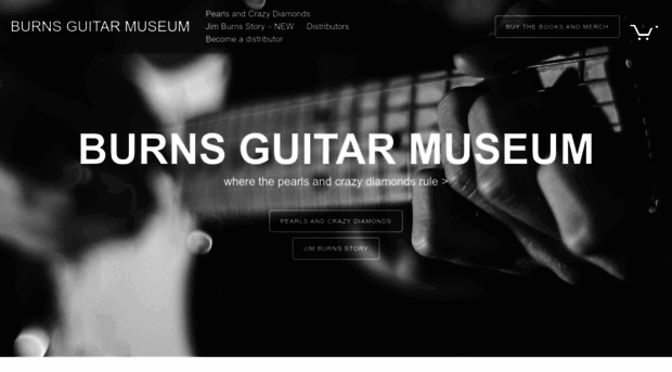 burnsguitarmuseum.com