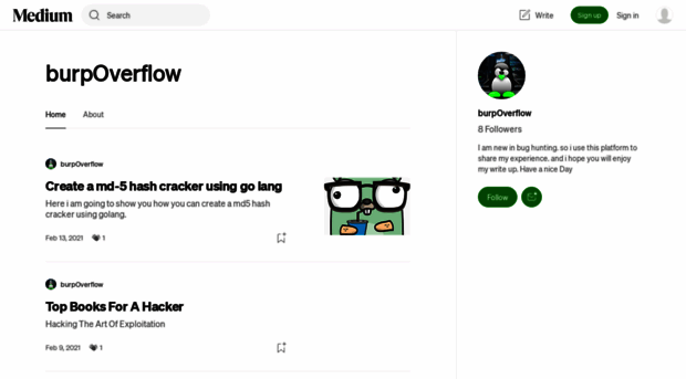 burpoverflow.medium.com