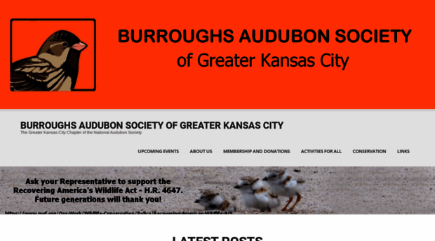 burroughs.org