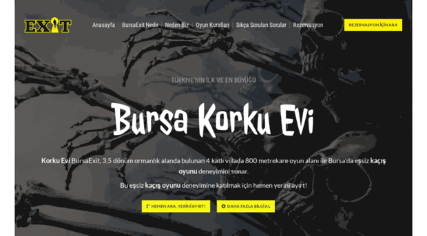 bursaexit.com