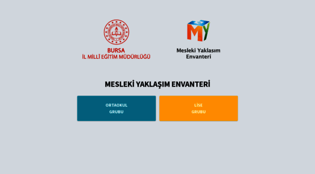 bursameslekiyaklasimenvanteri.com