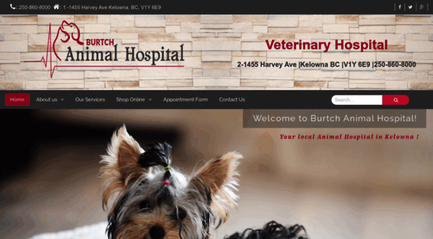 burtchanimalhospital.ca