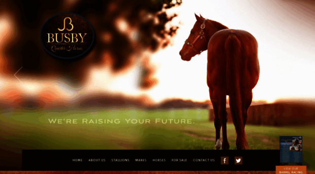 busbyquarterhorses.com