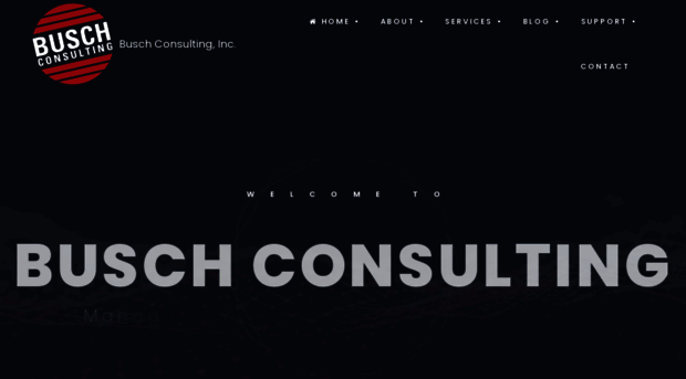 buschconsulting.com