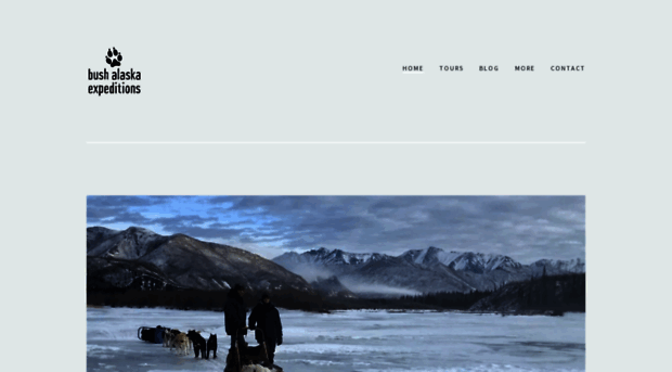 bushalaskaexpeditions.com