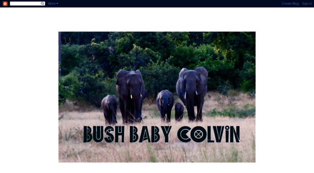 bushbabycolvin.blogspot.com