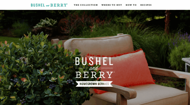 bushelandberry.com