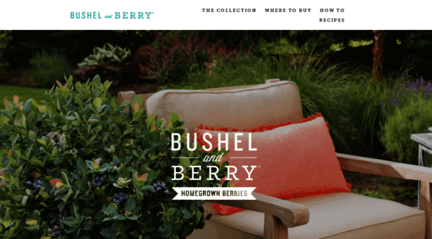 bushelandberry.squarespace.com