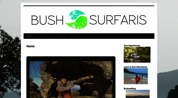 bushsurfaris.com