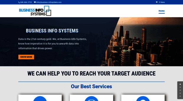 business-infosystems.com