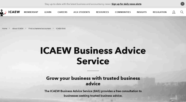 businessadviceservice.com