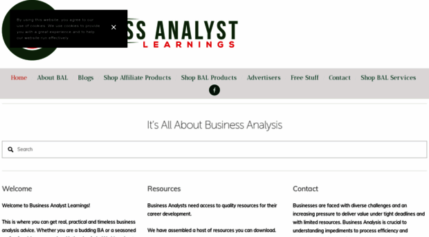 businessanalystblog.squarespace.com