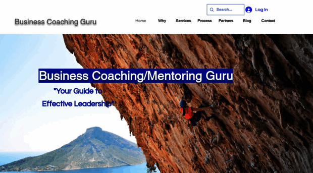 businesscoachingguru.com