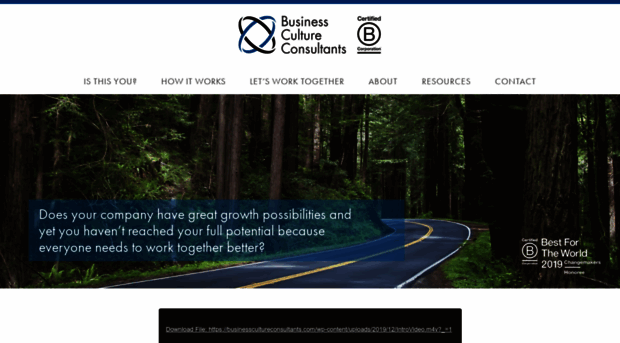 businesscultureconsultants.com