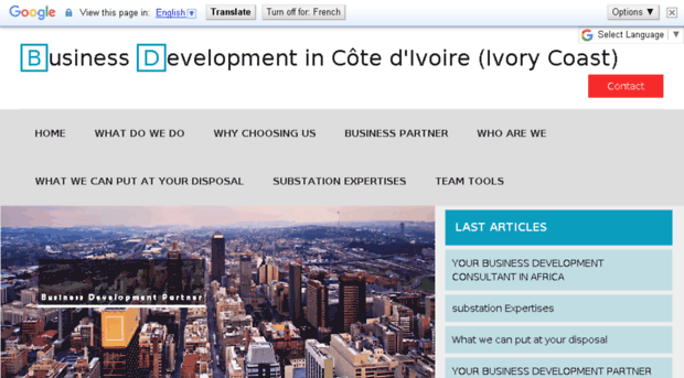 businessdevelopmentincotedivoire-ivorycoast.com