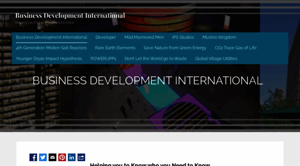 businessdevelopmentinternational.biz