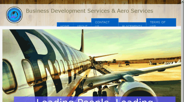 businessdevelopmentsollution.com