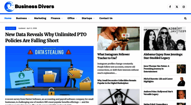 businessdivers.com