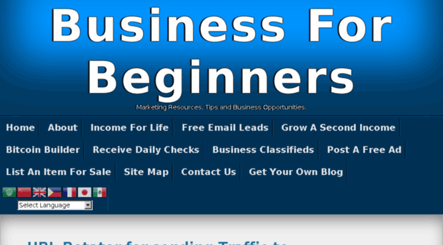 businessforbeginners.co.uk