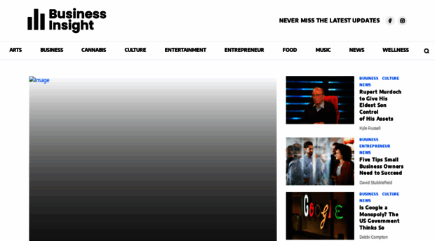 businessinsight.com