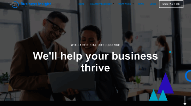 businessinsightco.com