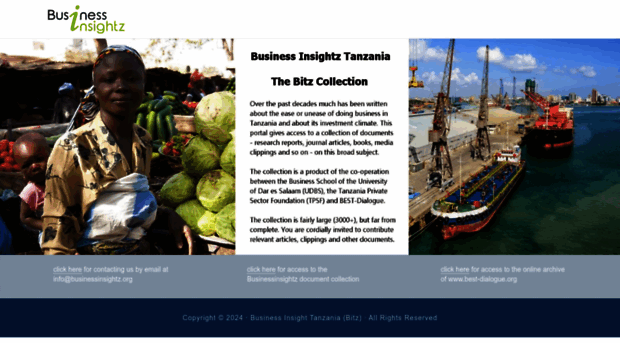 businessinsightz.org