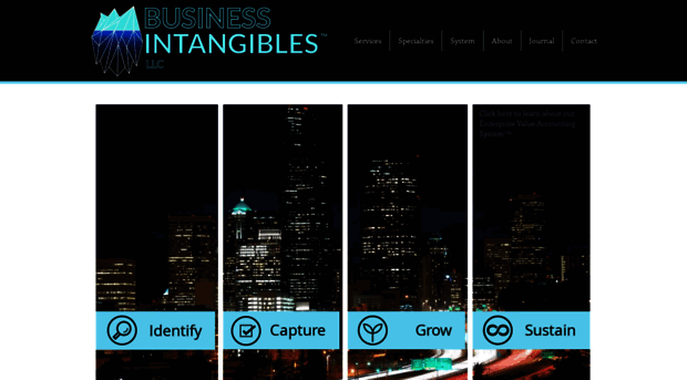 businessintangibles.com