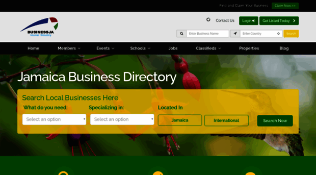 businessja.com