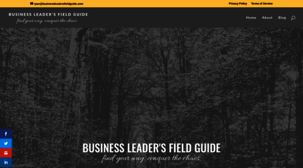 businessleadersfieldguide.com