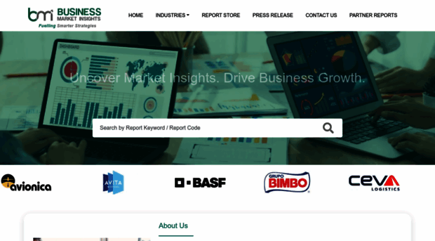 businessmarketinsights.com
