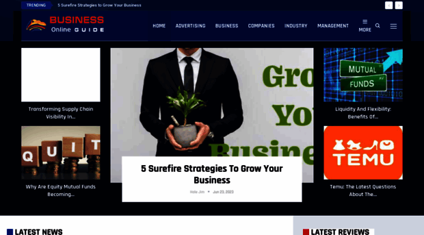 businessonlineguide.com