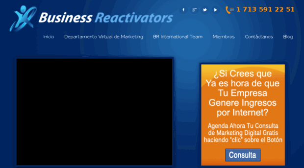 businessreactivators.com