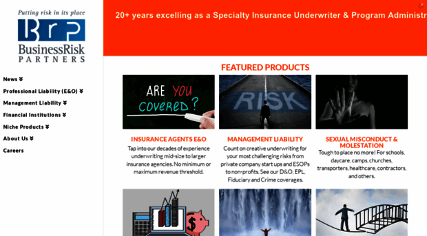 businessriskpartners.com