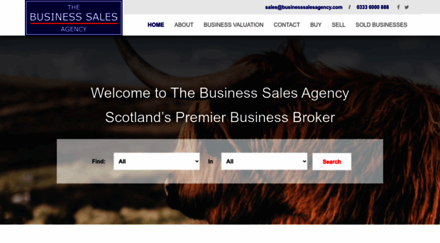 businesssalesagency.com