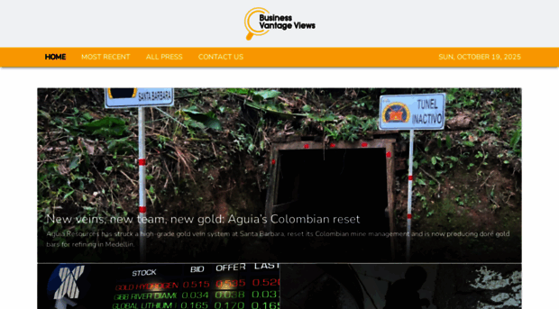businessvantageviews.com