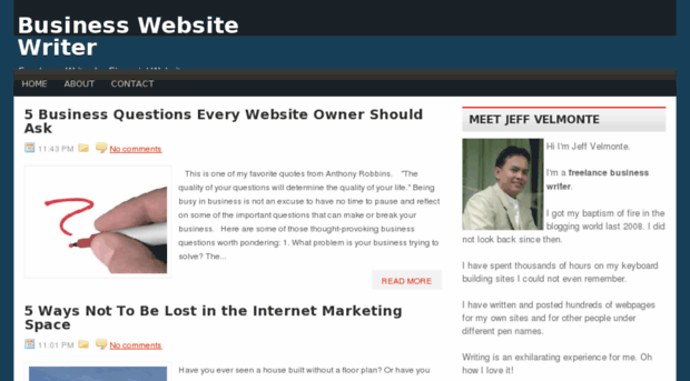 businesswebsitewriter.net