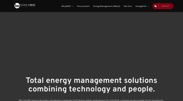 businesswisesolutions.co.uk