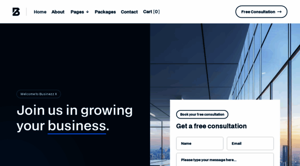 businezz-template.webflow.io