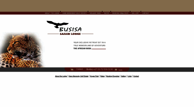 busisa.co.za